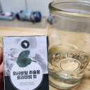 엔루체아