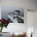 생활의상 이미지