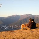 부부민박 이미지