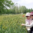 탑골농장 이미지