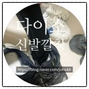 다이소 신발깔창 추천 다이소 메모리폼 인솔 깔창 발바닥 사용 후기