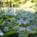 제주 물장오리오름 이미지