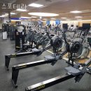 스포테라 | 대치동헬스장 스포테라 위치정보