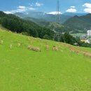 추진목장 이미지