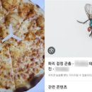 이정도면 배달거지 끝판왕" 피자에 파리 합성해놓고.."환불해주세요 이미지