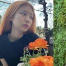 오렌지헤어 이미지