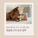 다이아몬드 유통 강아지 사랑 | 향에 예민한 아이에게 딱!고양이강아지 겸용 무향 일회용 포션 샴푸 리뷰