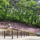 강릉 보현사 십육나한도 이미지