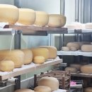 대안목장 이미지