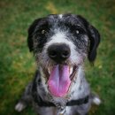 송파원동물병원 이미지