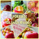 주문농장 | 구야네농장 미니사과 루비에스 주문 후기 제철과일 아삭달콤 굿!