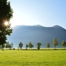 평택한의원 이미지