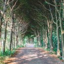 초원컴퓨터 이미지