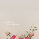 행복을주는꽃 이미지