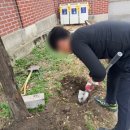 서울신양초등학교 이미지