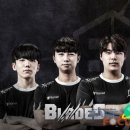 팀블레이즈 게임포커스