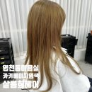 동탄미용실 영천동미용실 &#39; 살롱희헤어 &#39; :: 레드빛 머리를 베이지카키로 탈바꿈한 염색 맛집!