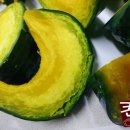 뿌리 농장 이미지