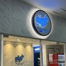 푸른노래연습장 이미지