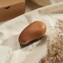 밸런스펫츠 이미지