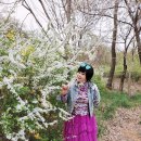 4/10 어제 인천계양 사는 동생 만나 임학공원 으로 소풍 다녀왔어요 공기 너무 좋아요. 벗꽃&국수나무 꽃이 이뻐요 이미지