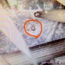 분당 아마존 동물병원 이미지