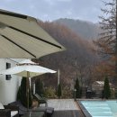 메리도그하우스 이미지