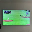 동동이네설기 | 3월, 봄이다 봄