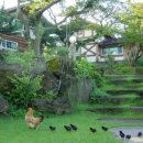 로그맨 하우스 이미지