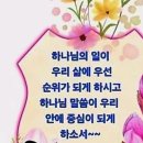 샬롬 Daum카페