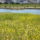 동천민박 이미지