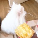 오미다정 이미지