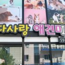 다사랑 애견 이미지