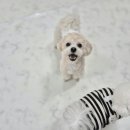 개스트룸 이미지