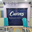 커브스작전클럽