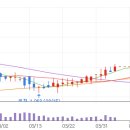 에스엠무역상사 이미지