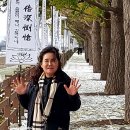 은행나무길 18 이미지
