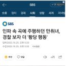 한녀의 기행: 음주운전으로 면허취소 -＞ 무면허 음주운전 -＞ 단속경관 손가락 깨뭄 이미지