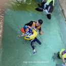 5살 아이와 오션월드 :: 입장료 요금할인 준비물 식당정보