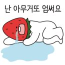 몽비어