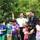 나비 한살이 이미지