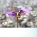 활공농장 이미지