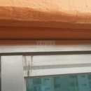 강변들보람 이미지