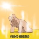 조GYM 이미지