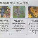 구보때 마체를 대각으로 ..