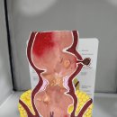 시흥드림항유외과