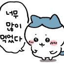 덤앤덤치킨 | 7주차 일상모음(+소소한 맛집 추천)