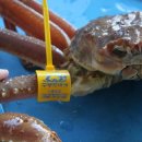 영덕카백화점 이미지