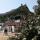 서천-8 이미지