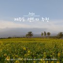 ㈜제주동백렌트카 | 제주도 렌트카 가격비교 제주 렌트카 예약 돌하루팡 후기